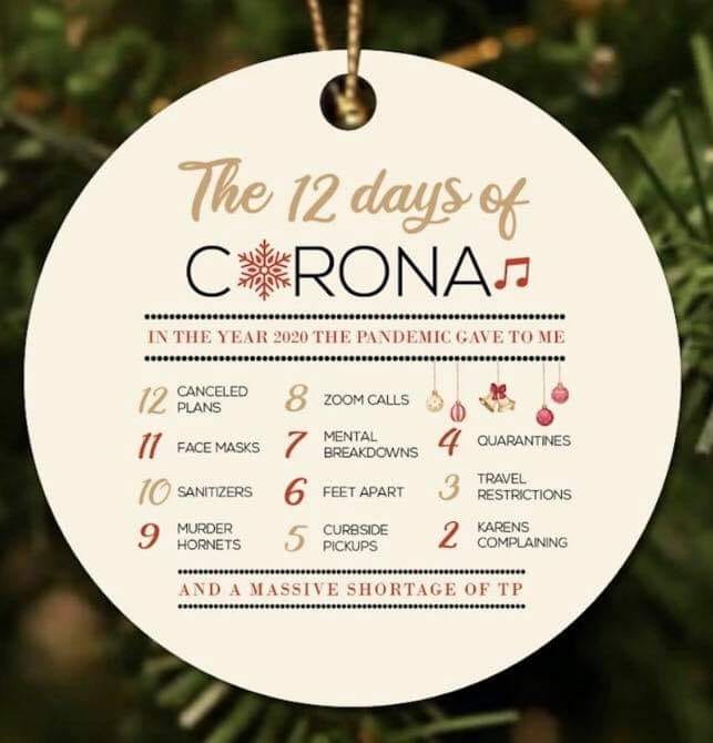 127192009_1725775210912307_4527052069809648909_n