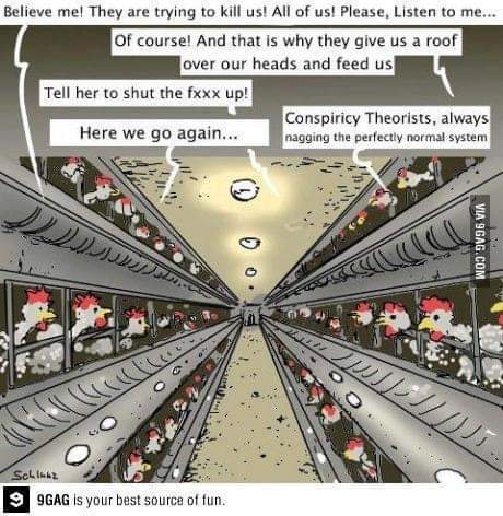 92019553_10219494193118202_3382585159927726080_n (1)