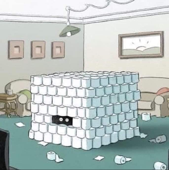 94031187_10215949917556010_2923007901020717056_n