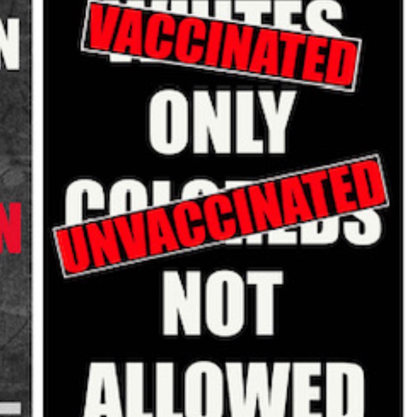 231325105_147653534165322_7719788951855048530_n